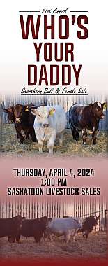 2024 Who’s Your Daddy Shorthorn Bull and Female Sale catalogue